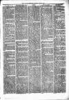 Alcester Chronicle Saturday 12 June 1875 Page 5