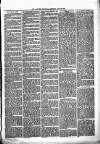Alcester Chronicle Saturday 19 June 1875 Page 3