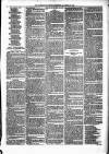 Alcester Chronicle Saturday 20 November 1875 Page 3