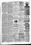 Alcester Chronicle Saturday 22 January 1876 Page 3