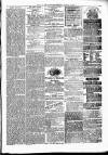 Alcester Chronicle Saturday 29 January 1876 Page 3