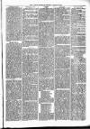 Alcester Chronicle Saturday 29 January 1876 Page 5