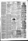 Alcester Chronicle Saturday 12 February 1876 Page 3