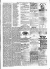 Alcester Chronicle Saturday 18 March 1876 Page 3