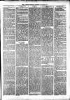 Alcester Chronicle Saturday 20 January 1877 Page 5