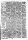 Alcester Chronicle Saturday 03 February 1877 Page 5
