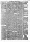 Alcester Chronicle Saturday 28 April 1877 Page 5