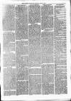Alcester Chronicle Saturday 21 July 1877 Page 5