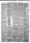 Alcester Chronicle Saturday 05 October 1878 Page 5