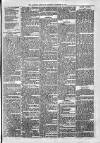 Alcester Chronicle Saturday 21 December 1878 Page 7