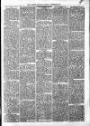 Alcester Chronicle Saturday 28 December 1878 Page 3