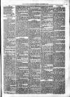 Alcester Chronicle Saturday 28 December 1878 Page 7