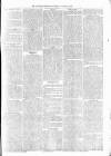 Alcester Chronicle Saturday 11 January 1879 Page 3