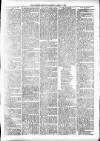 Alcester Chronicle Saturday 22 March 1879 Page 5