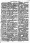 Alcester Chronicle Saturday 24 April 1880 Page 5