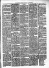 Alcester Chronicle Saturday 28 August 1880 Page 5