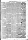 Alcester Chronicle Saturday 10 June 1882 Page 3