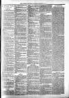 Alcester Chronicle Saturday 17 February 1883 Page 7