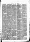 Alcester Chronicle Saturday 23 April 1887 Page 3
