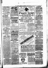 Alcester Chronicle Saturday 23 April 1887 Page 5