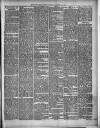 Hants and Berks Gazette and Middlesex and Surrey Journal Saturday 29 December 1894 Page 5