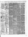 Hants and Berks Gazette and Middlesex and Surrey Journal Saturday 26 January 1895 Page 3