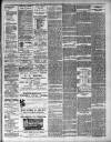 Hants and Berks Gazette and Middlesex and Surrey Journal Saturday 21 March 1903 Page 3