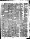 Rhyl Journal Saturday 22 December 1877 Page 3