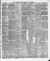 Brecon and Radnor Express and Carmarthen Gazette Friday 29 November 1889 Page 3