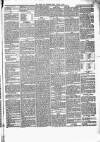 Chard and Ilminster News Saturday 07 August 1875 Page 3
