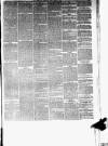Chard and Ilminster News Saturday 30 March 1878 Page 3