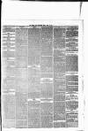 Chard and Ilminster News Saturday 01 June 1878 Page 3