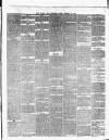 Chard and Ilminster News Saturday 26 October 1878 Page 3