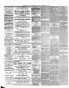 Chard and Ilminster News Saturday 06 September 1879 Page 2