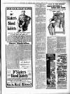 Chard and Ilminster News Saturday 26 October 1901 Page 7