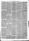 Denbighshire Free Press Saturday 25 October 1884 Page 3