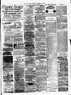 Denbighshire Free Press Saturday 12 December 1885 Page 3