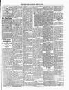 Denbighshire Free Press Saturday 24 March 1894 Page 5