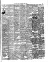 Denbighshire Free Press Saturday 13 June 1903 Page 7