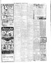 Denbighshire Free Press Saturday 02 February 1907 Page 7