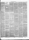 Cambrian News Saturday 13 May 1865 Page 3