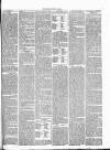 Cambrian News Saturday 20 May 1865 Page 3