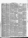 Cambrian News Saturday 15 February 1868 Page 3