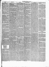 Cambrian News Thursday 24 December 1868 Page 3