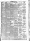 Cambrian News Friday 11 October 1878 Page 7