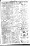 Cambrian News Friday 19 March 1880 Page 3