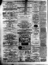 Cambrian News Friday 07 January 1881 Page 4