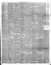 Hamilton Herald and Lanarkshire Weekly News Saturday 29 March 1890 Page 3