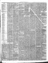 Hamilton Herald and Lanarkshire Weekly News Friday 02 May 1890 Page 3