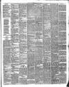 Hamilton Herald and Lanarkshire Weekly News Friday 30 January 1891 Page 3